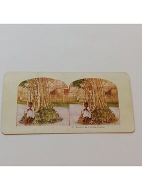 ANTIQUE STEREOGRAPH Card DOUBLE SIDED Bamboo as it Grows, Manilla/Peeheai COLOUR